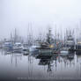 Thomas Basin in the Fog This Morning