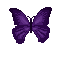 Purple Butterfly