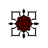 Kuran Rose