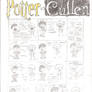 Potter vs. Cullen