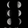 Six of Moons