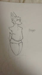 Boyo