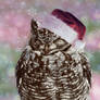 Have Yourself An Owly Little Christmas