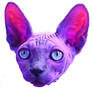 Sphynx Cat Purple Pink Surreal