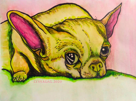 Le Chien The Dog Watercolor Pen Animal
