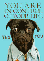 You Are In Control Of Your Life Funny Dog Quotes