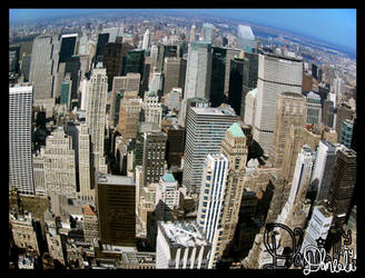Empire State Bldng View NYC