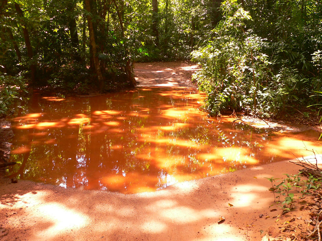 the river....7 by yellow911 on DeviantArt