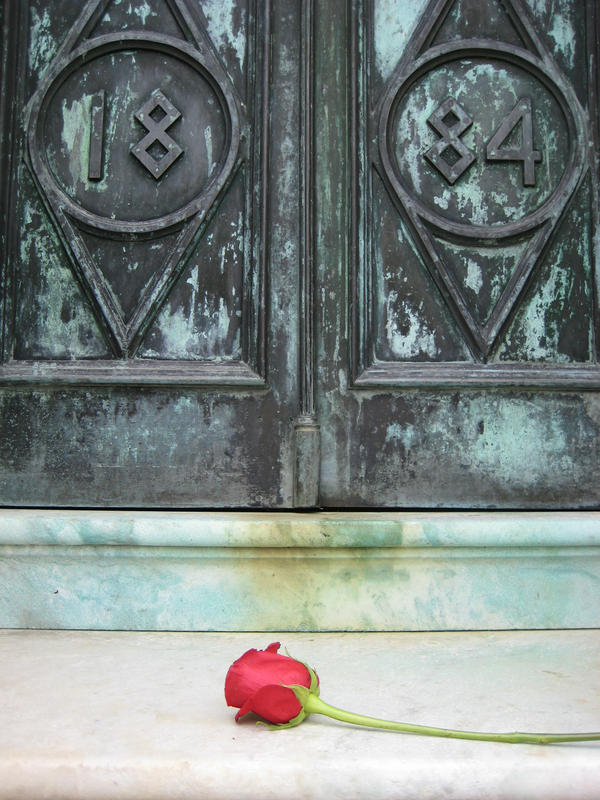 A Rose on Her Doorstep