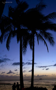 Waikiki Beach