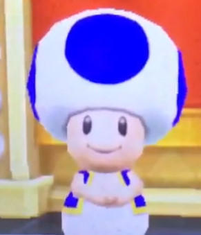 Blue Toad from Mario Party Island Tour by Sandrag1 on DeviantArt