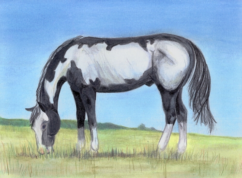 Fisher - Equine Art Exchange