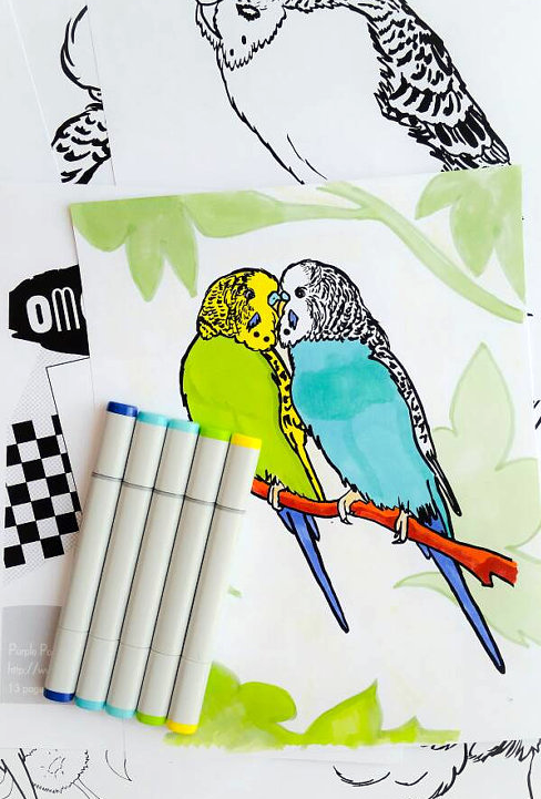 OMG Budgies Colouring Book