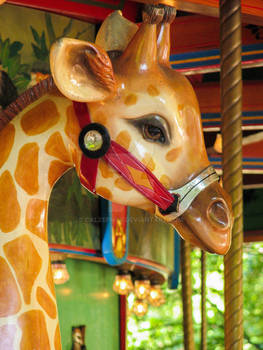 Woodland Park Zoo Giraffe Carousel