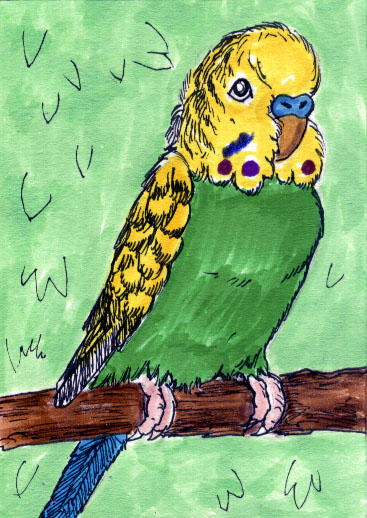 Green Budgie ATC