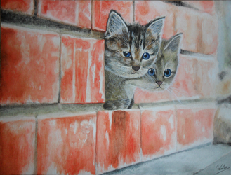 Kitty cats in a wall
