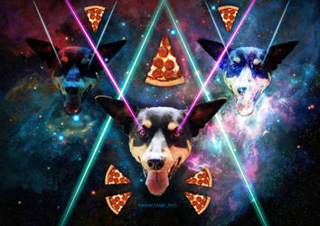 Galaxy Dog