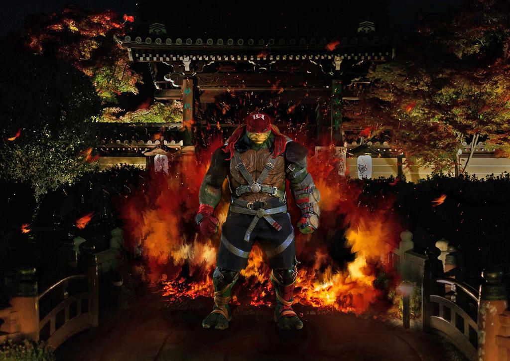 Tmnt raph burning dojo by LillianLinus on DeviantArt