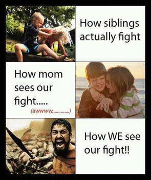 how fights are seen. :D