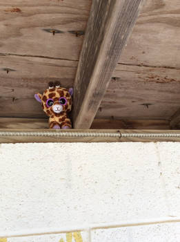 Roof Giraffe is Watching