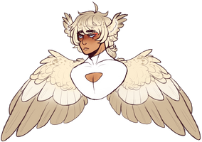Angelic bird boy