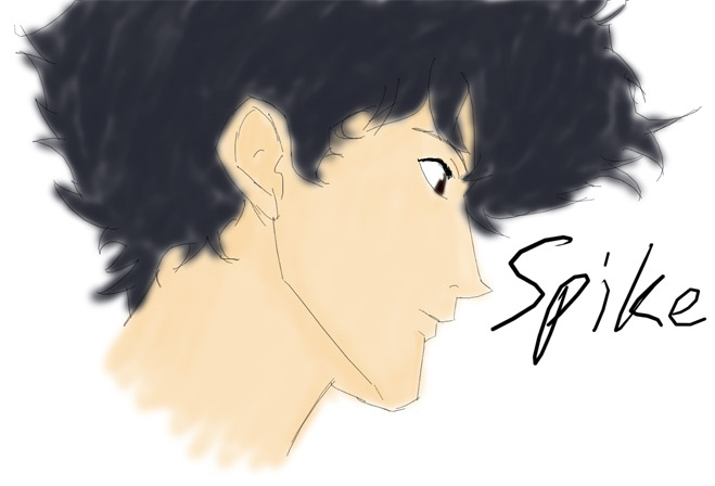 Spike