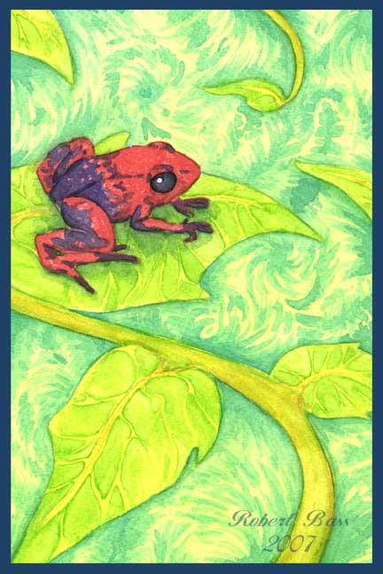 Commission - Poisonous Frog