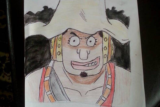 Usopp new world