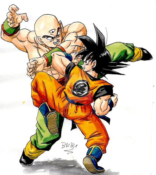 Goku Vs Tenshinhan