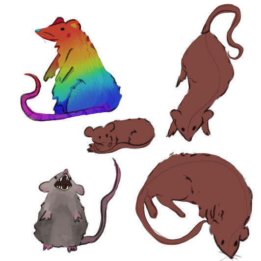 Rat Deviantart rat sketch page by Avie-Ling on DeviantArt