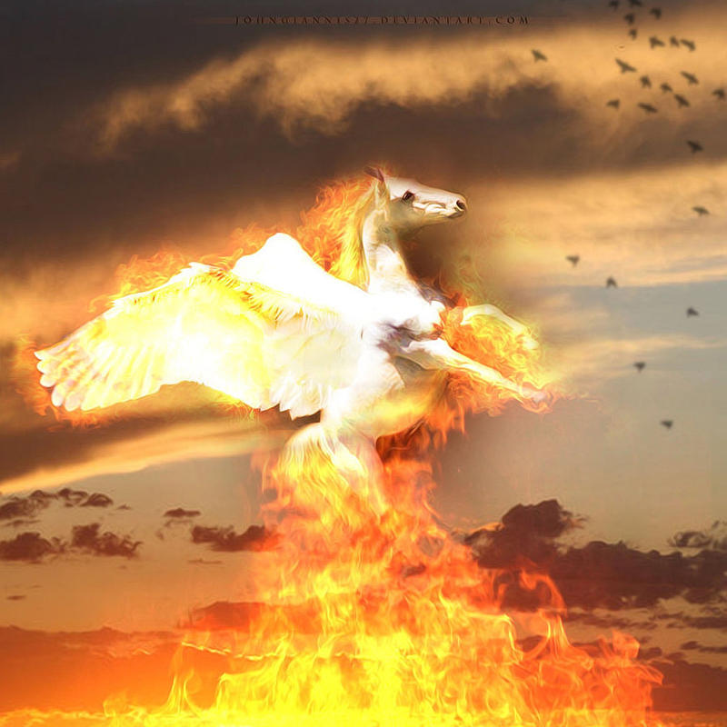 fire pegasus