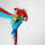 explosion of colors II-Wallpaper