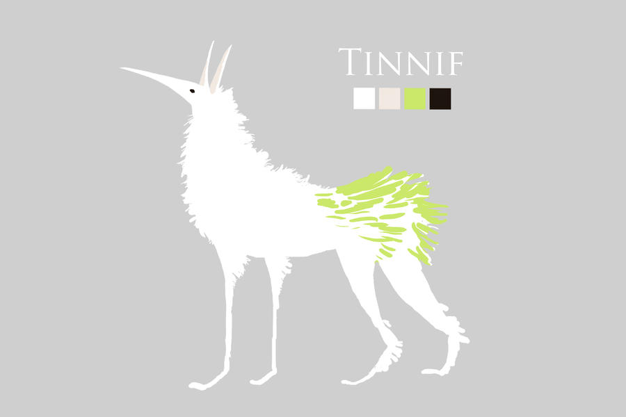 Character Design - Tinnif