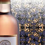 holiday Wine banner 281x801