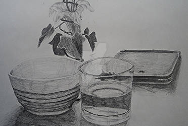 Still life 3ds ^ ^