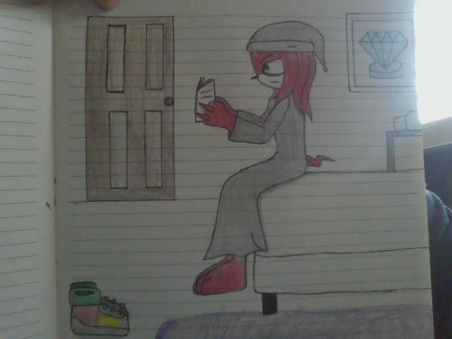 Knuckles reading a book before bed by ThePumpkinQueen01 on DeviantArt