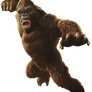 Kong 2021 Edit