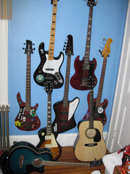 The Bass-Guitar Family