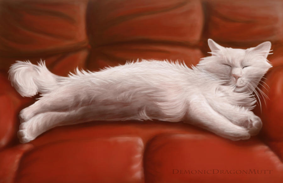 Pudgee Deviantart Puddge The Cat by DemonicDragonMutt on DeviantArt