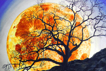 Explore the Best Oaktree Art | DeviantArt