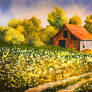 Old Farm with Wildflowers