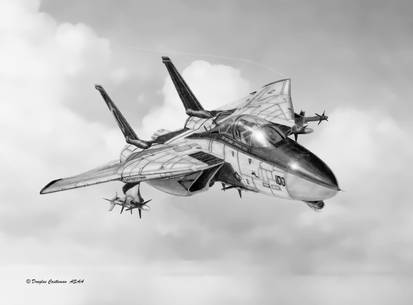 F-14 Tomcat Drawing