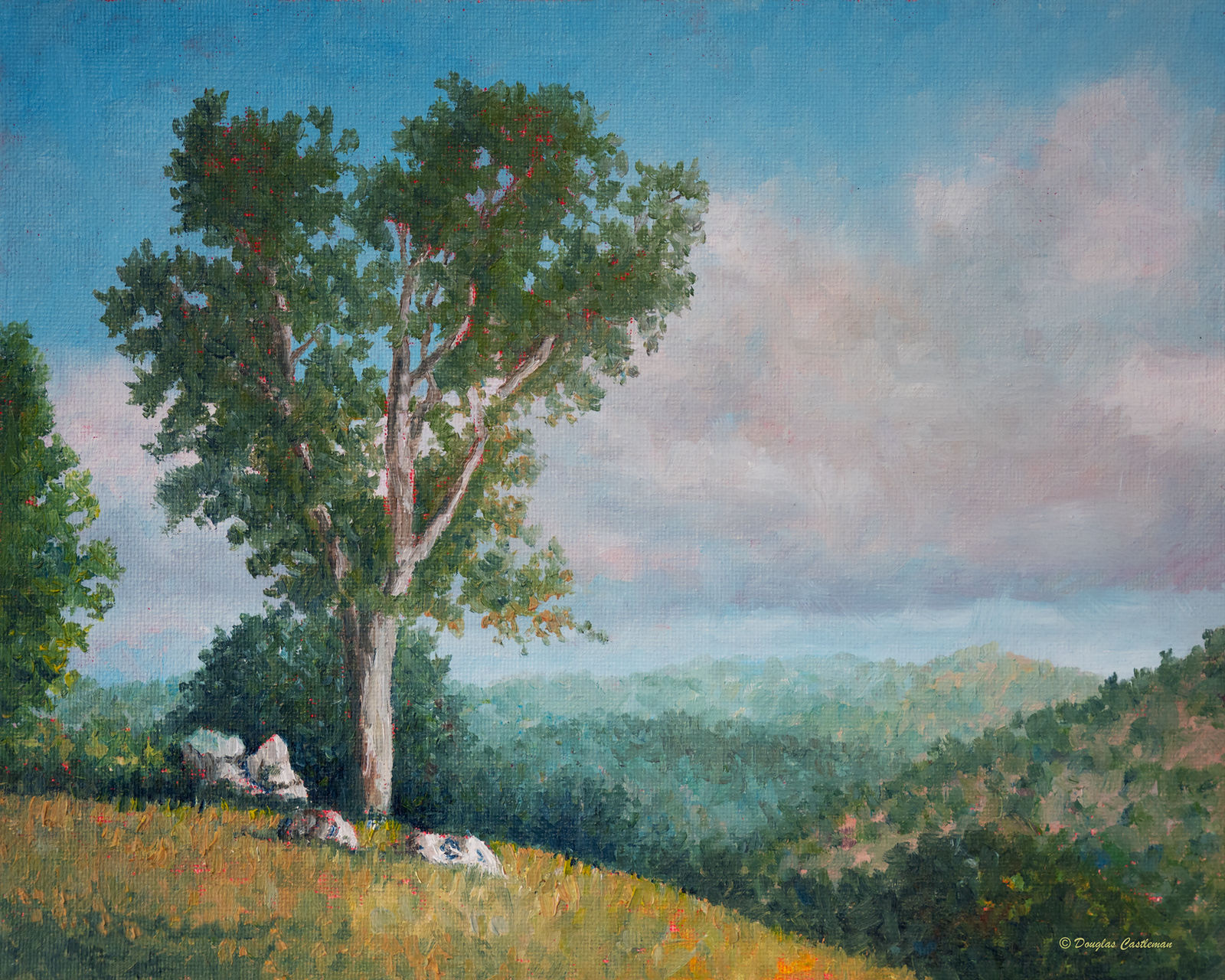 Tehachapi Foothills by DouglasCastleman on DeviantArt