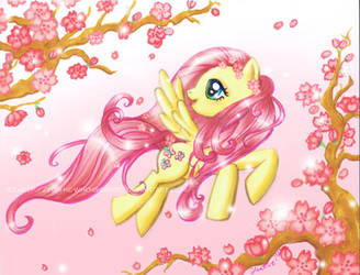 Fluttershy's Magic