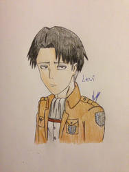 Levi