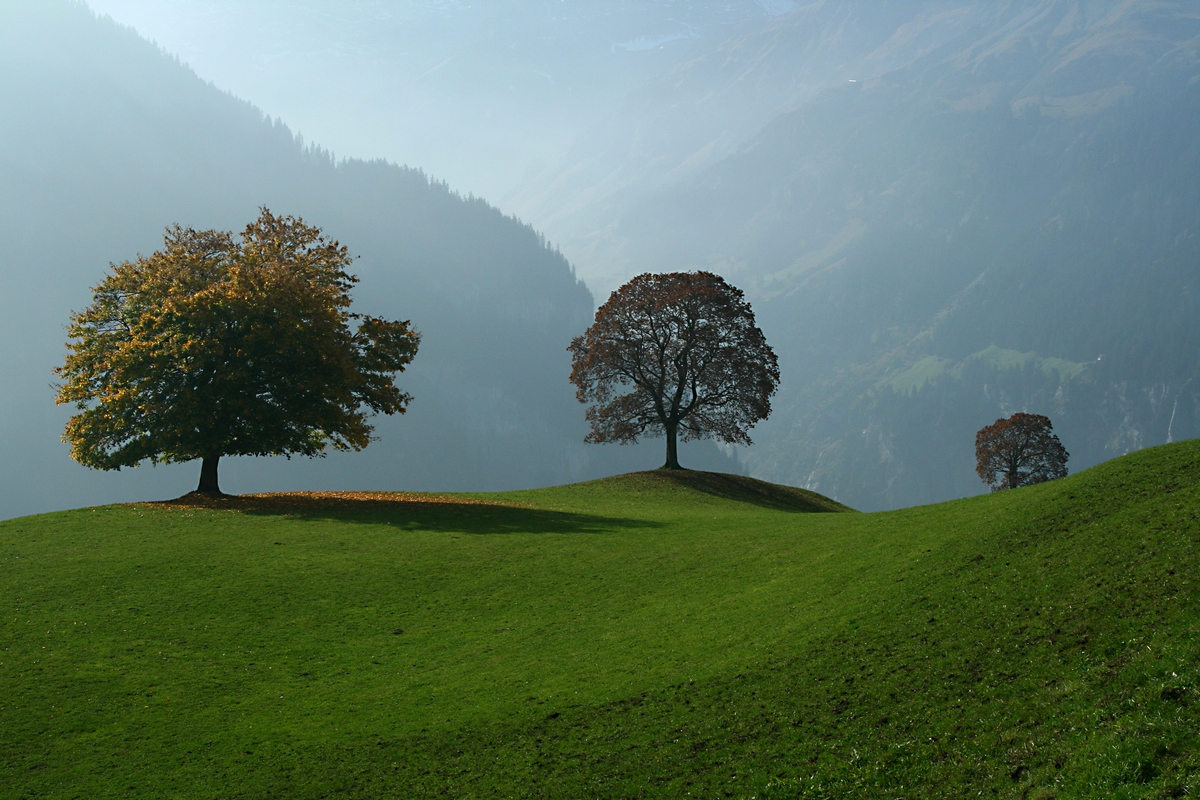 Hills of Switzerland