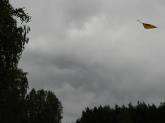 leaf on wind