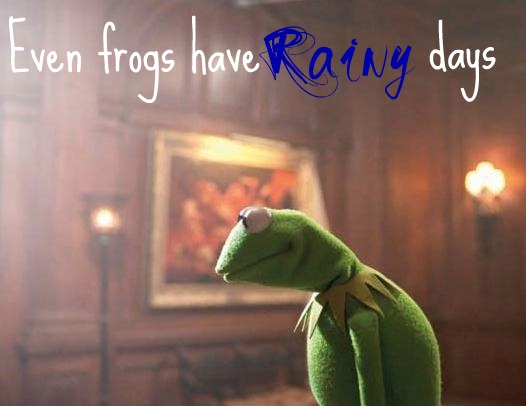 Even frogs have rainy days