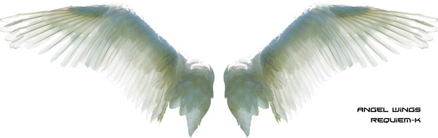 HQ Angel Wings Render by Requiem-K on DeviantArt
