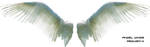 HQ Angel Wings Render by Requiem-K